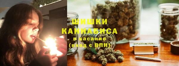 стафф Аркадак
