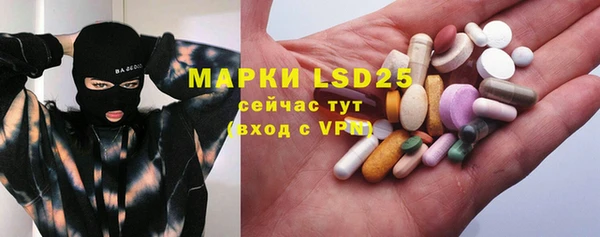 стафф Аркадак
