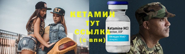 стафф Аркадак
