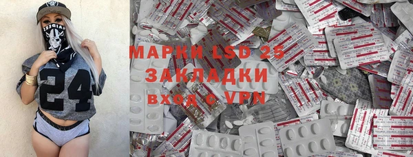 стафф Аркадак