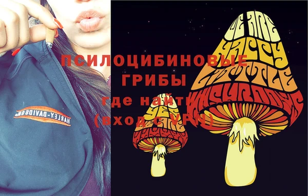 стаф Арсеньев