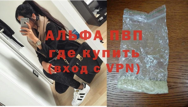 стаф Арсеньев