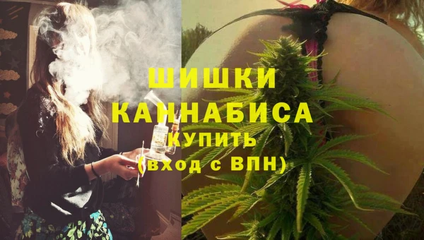 стаф Арсеньев