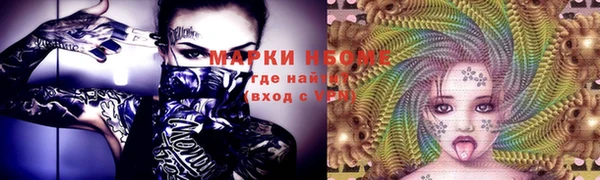 стафф Аркадак