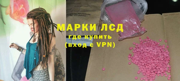 стаф Арсеньев